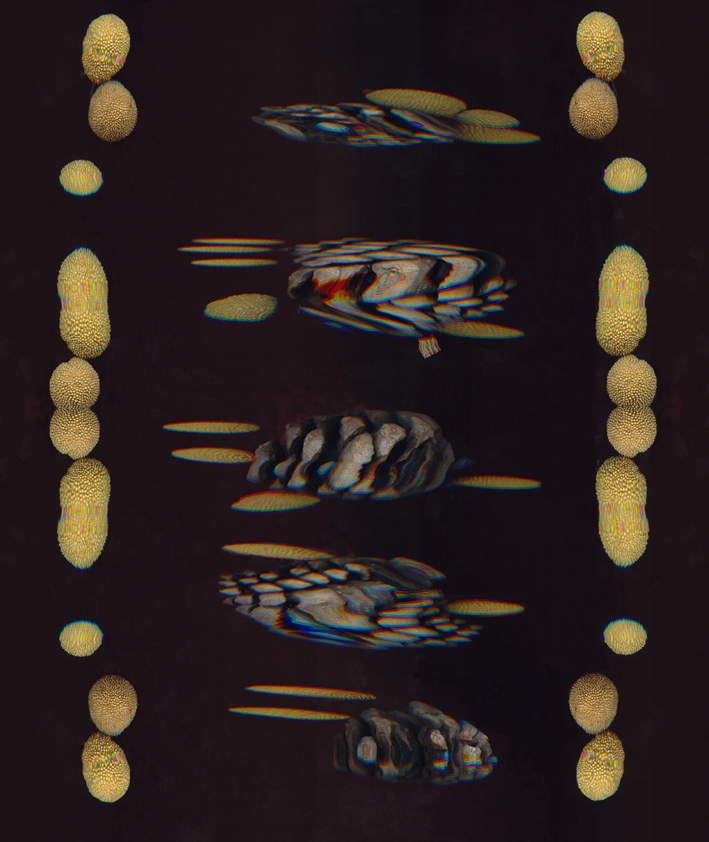 005