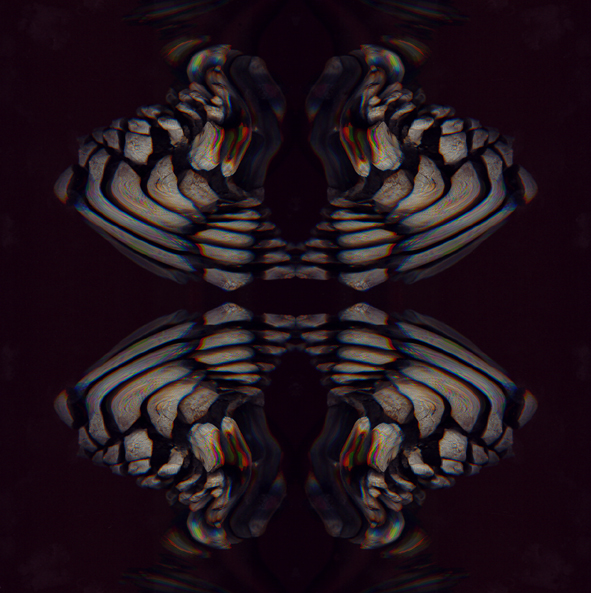 006